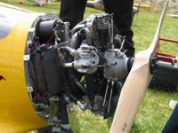 Beechcraft Birgis